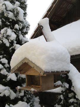 15cm Schnee!_b0102075_1741388.jpg