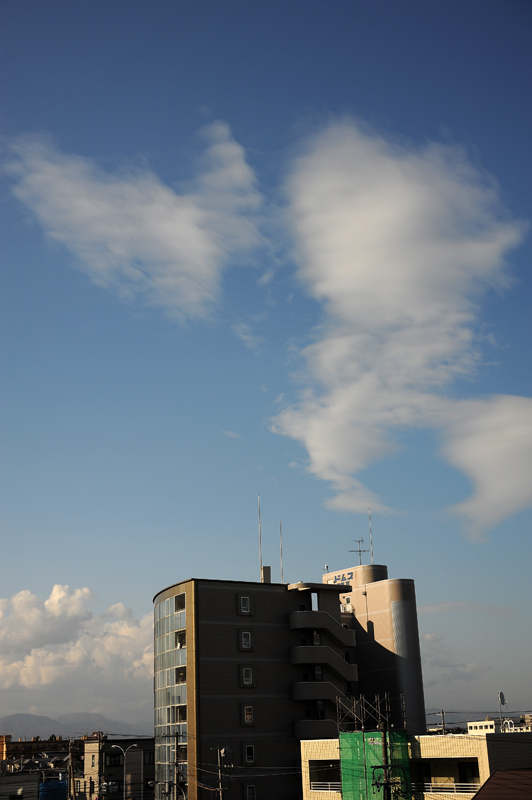 a0141385_6475427.jpg