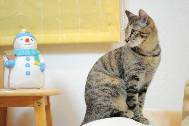 元気が出てこないよ_a0126590_10325974.jpg
