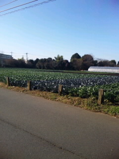 No.1195 12月18日(土):本日はこんな感じで。_b0113993_2250246.jpg