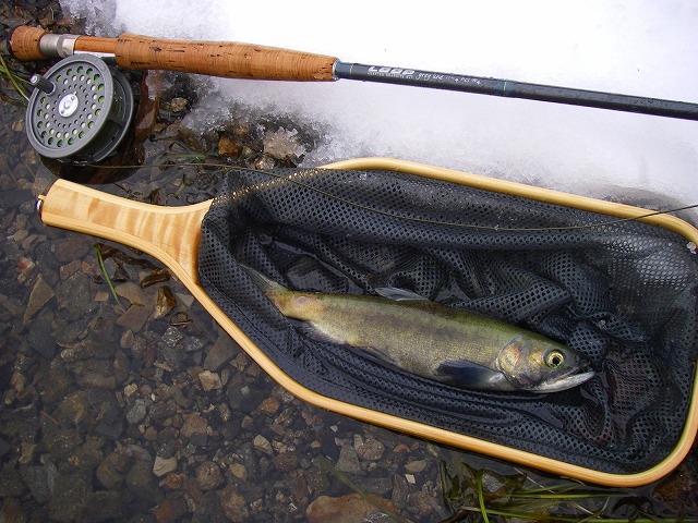 e0202393_2019424.jpg