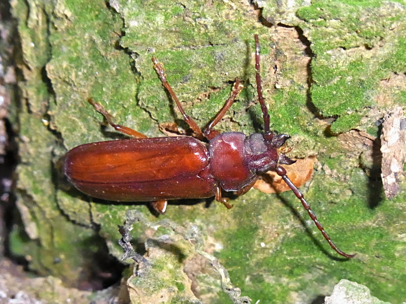 f0204094_10144770.jpg
