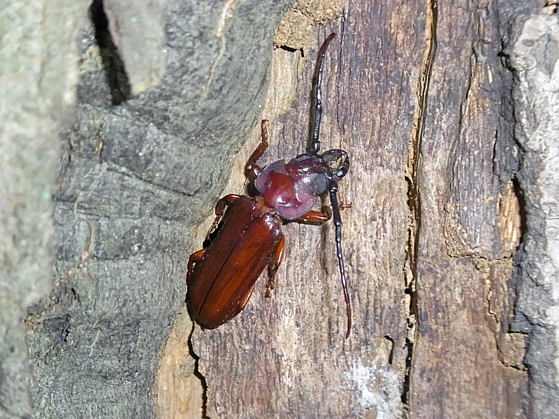 f0204094_1028351.jpg