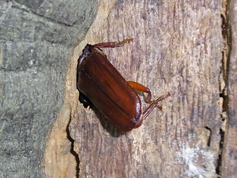f0204094_1028793.jpg