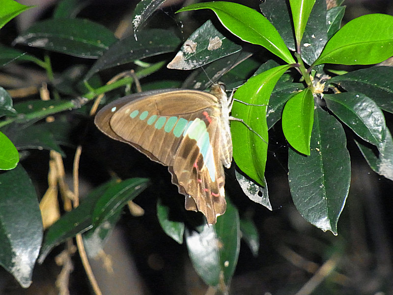 f0204094_104497.jpg