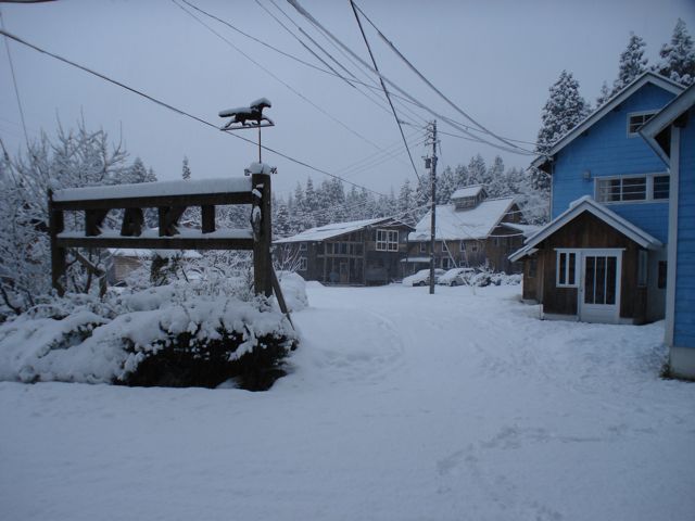 雪_a0061599_833596.jpg