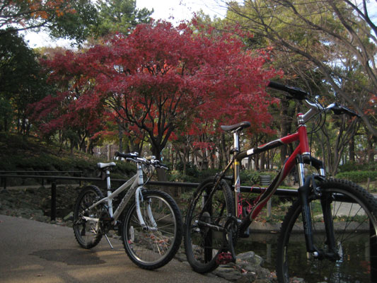 年の瀬は自転車で_b0097200_16133263.jpg