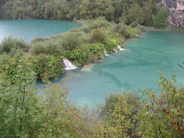 a0100706_21502077.jpg