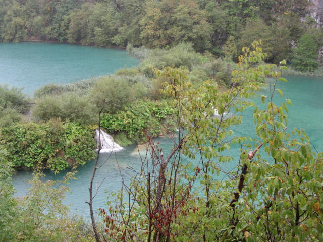 a0100706_2150580.jpg