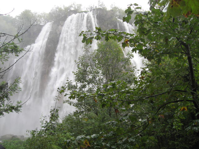 a0100706_2151924.jpg