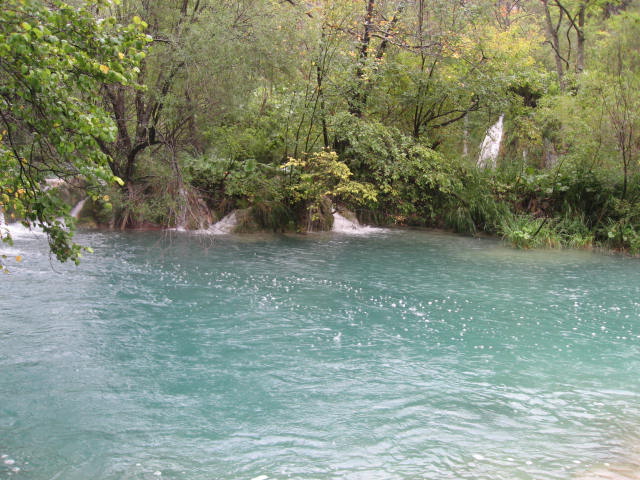 a0100706_2158463.jpg
