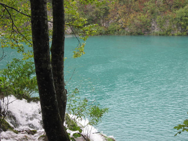 a0100706_21593455.jpg