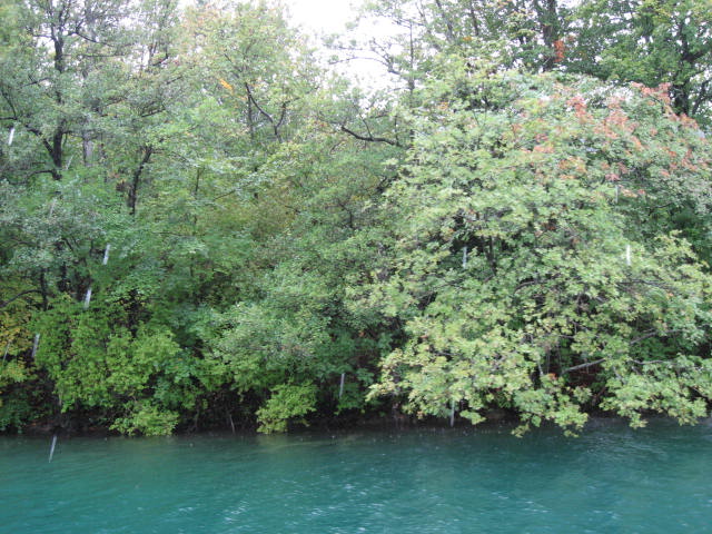 a0100706_221295.jpg