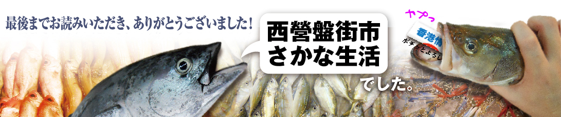 魚いろいろ_f0237106_8303325.jpg