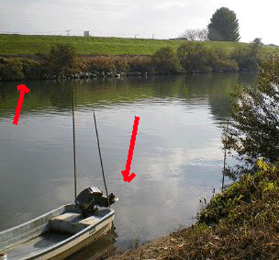 e0103408_1659557.gif