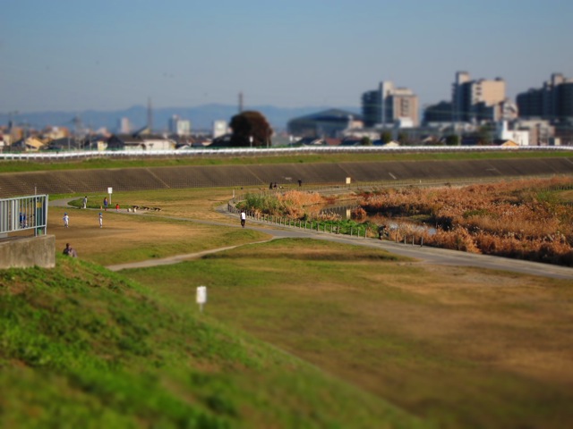 a0129311_21493443.jpg