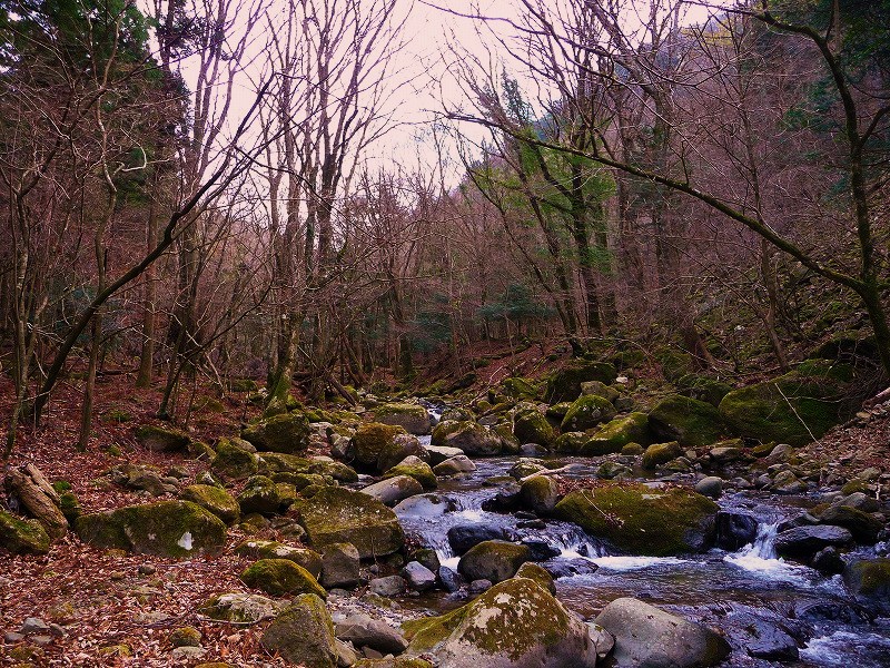 f0182513_16443450.jpg