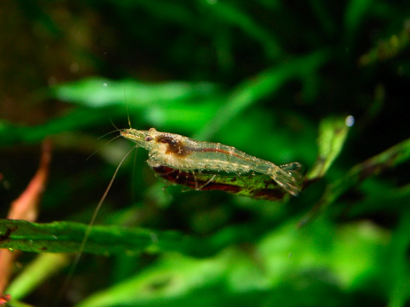 e0200816_43326.jpg