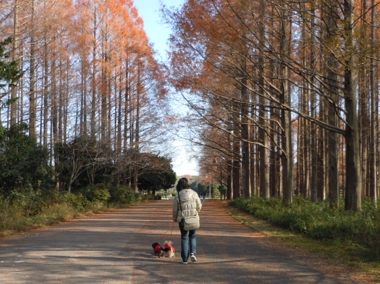 １０年１２月１９日　がんばったよね♪_c0117831_2105064.jpg