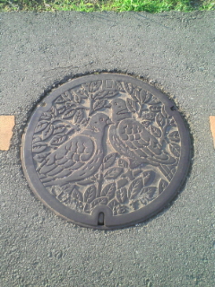 a0134136_163169.jpg
