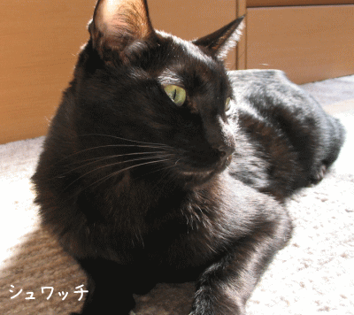a0166338_20503342.gif