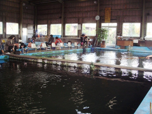 e0119840_20515741.jpg