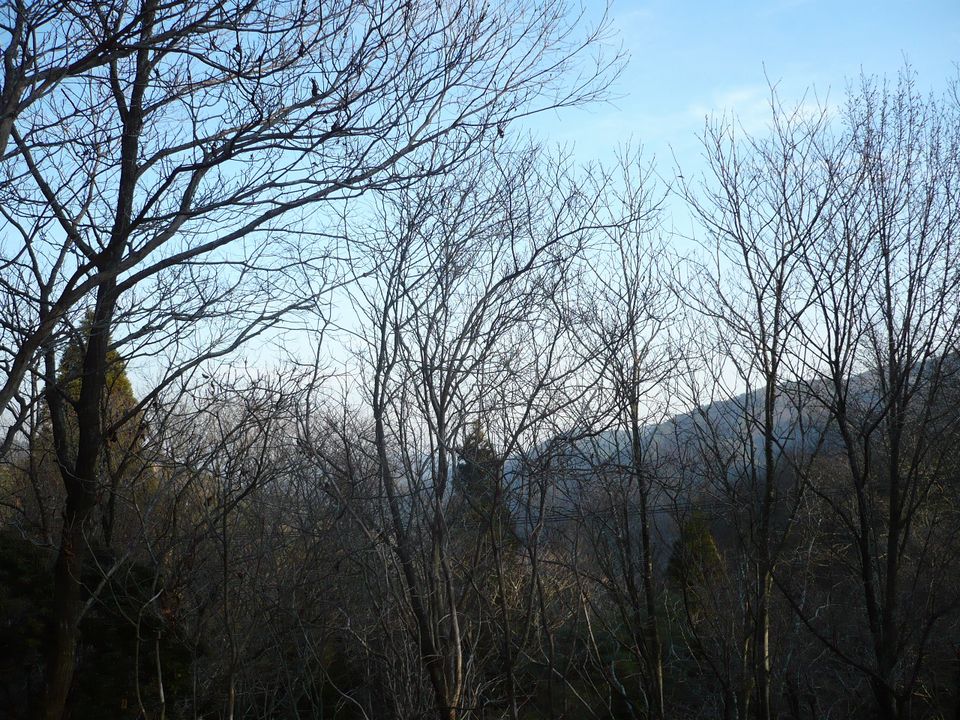 f0090444_21123839.jpg