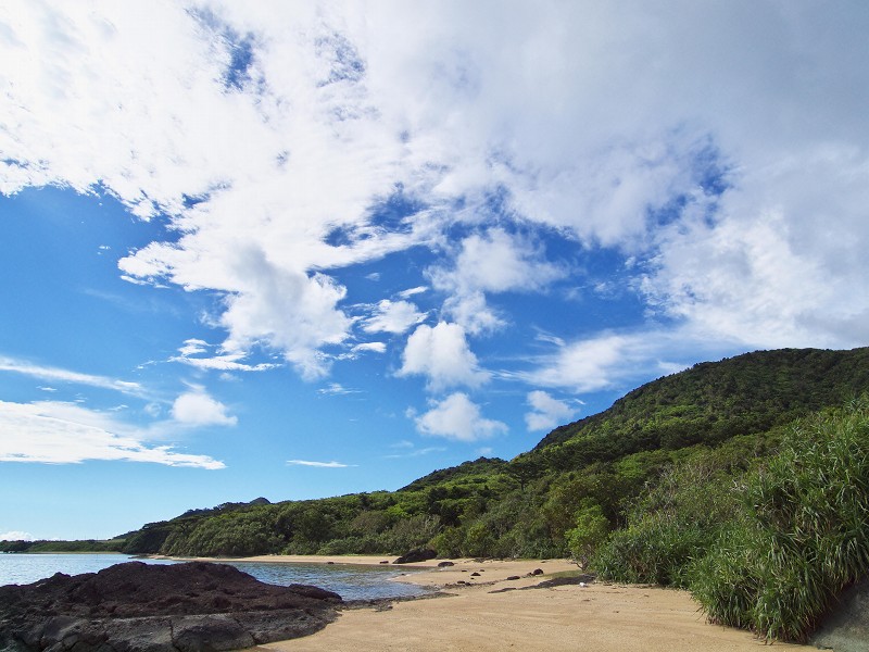 沖縄離島巡り ～ 石垣島 伊原間の朝散歩_f0002946_23562100.jpg