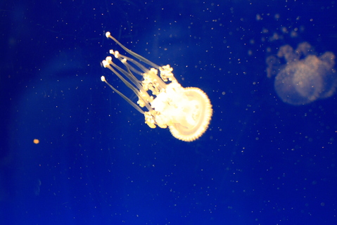 c0193648_2340640.jpg