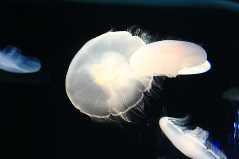 c0193648_23463359.jpg