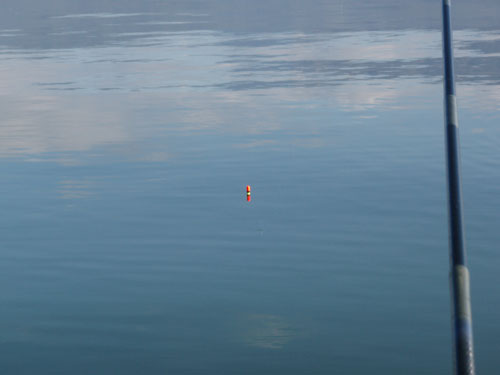 e0201348_15495296.jpg