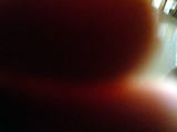 d0151651_0291815.jpg