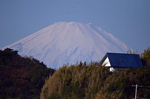 e0050753_8412266.jpg