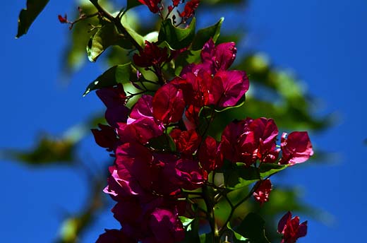 e0050753_8433435.jpg