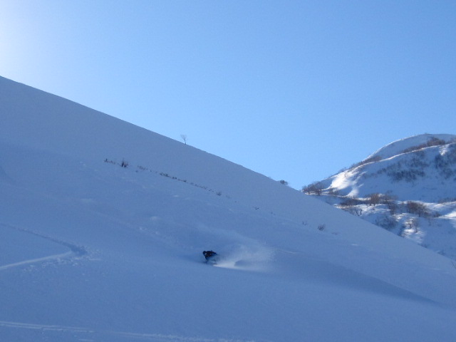 f0209354_17352532.jpg
