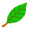 f0223055_1454591.gif