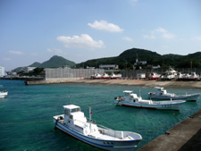 12月17日 いる _d0113459_81423.jpg