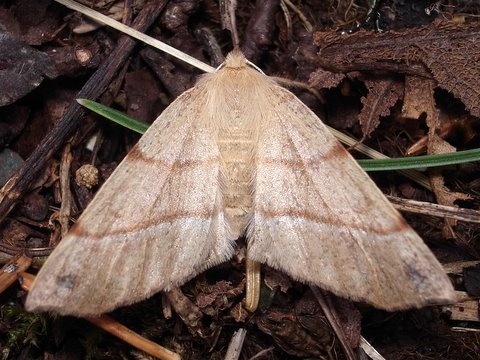 b0130166_201741100.jpg