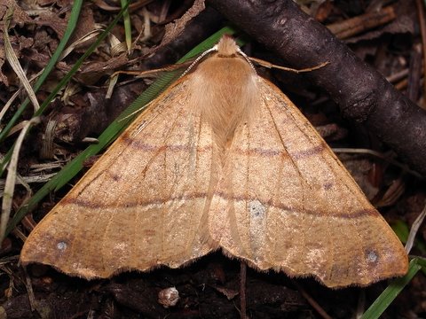 b0130166_20174128.jpg