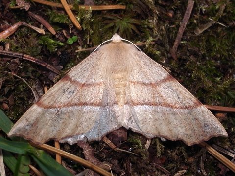 b0130166_20174186.jpg