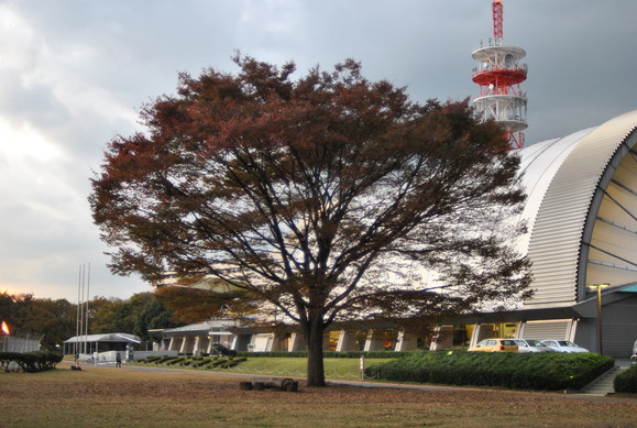 街・冬景_b0194880_1933346.jpg