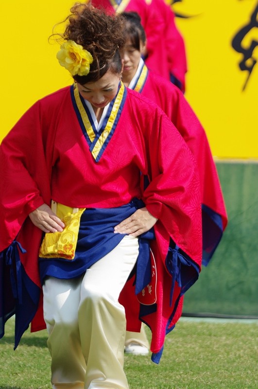 2010やまもと爽郷祭り　丸亀ごんな連編_c0135381_18475342.jpg