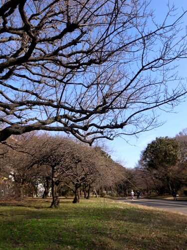 e0156083_842966.jpg