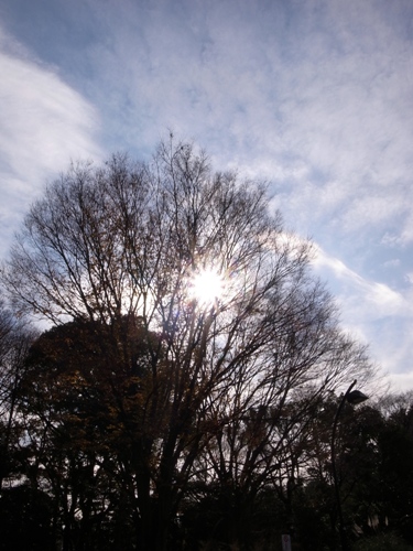 e0156083_844204.jpg