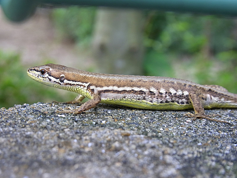 f0204094_032690.jpg