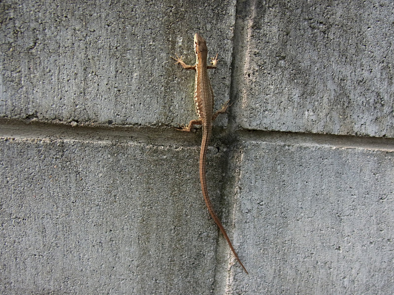 f0204094_03991.jpg