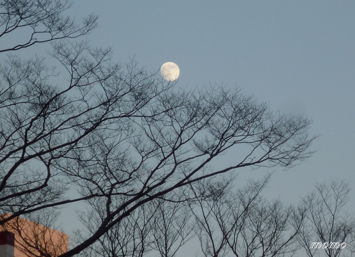 田沼武能氏_f0088197_23264797.jpg