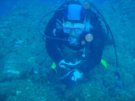 e0115199_1857598.jpg