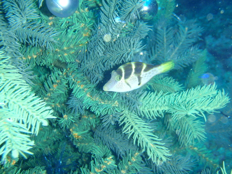 e0115199_1910827.jpg