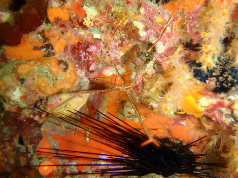 e0115199_1992427.jpg